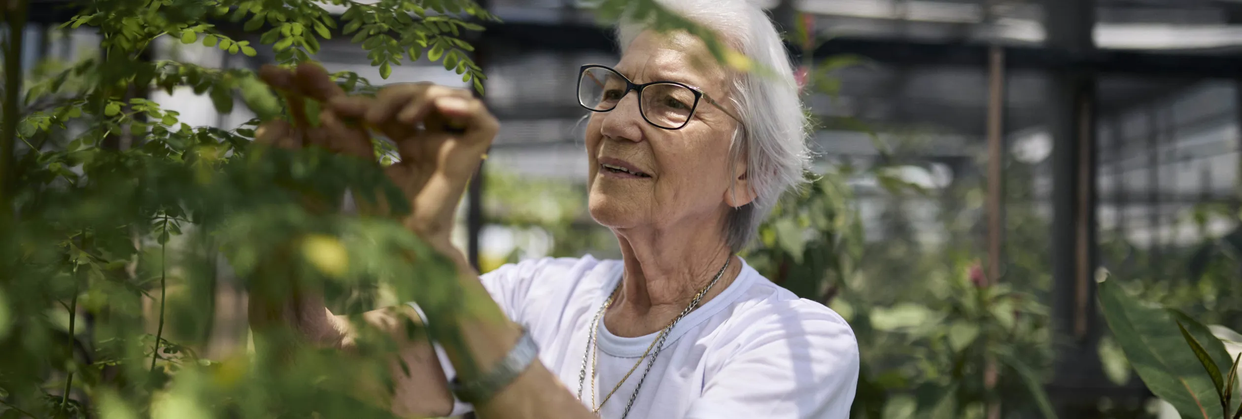 Brazil_Sister-Rosita-Milesi